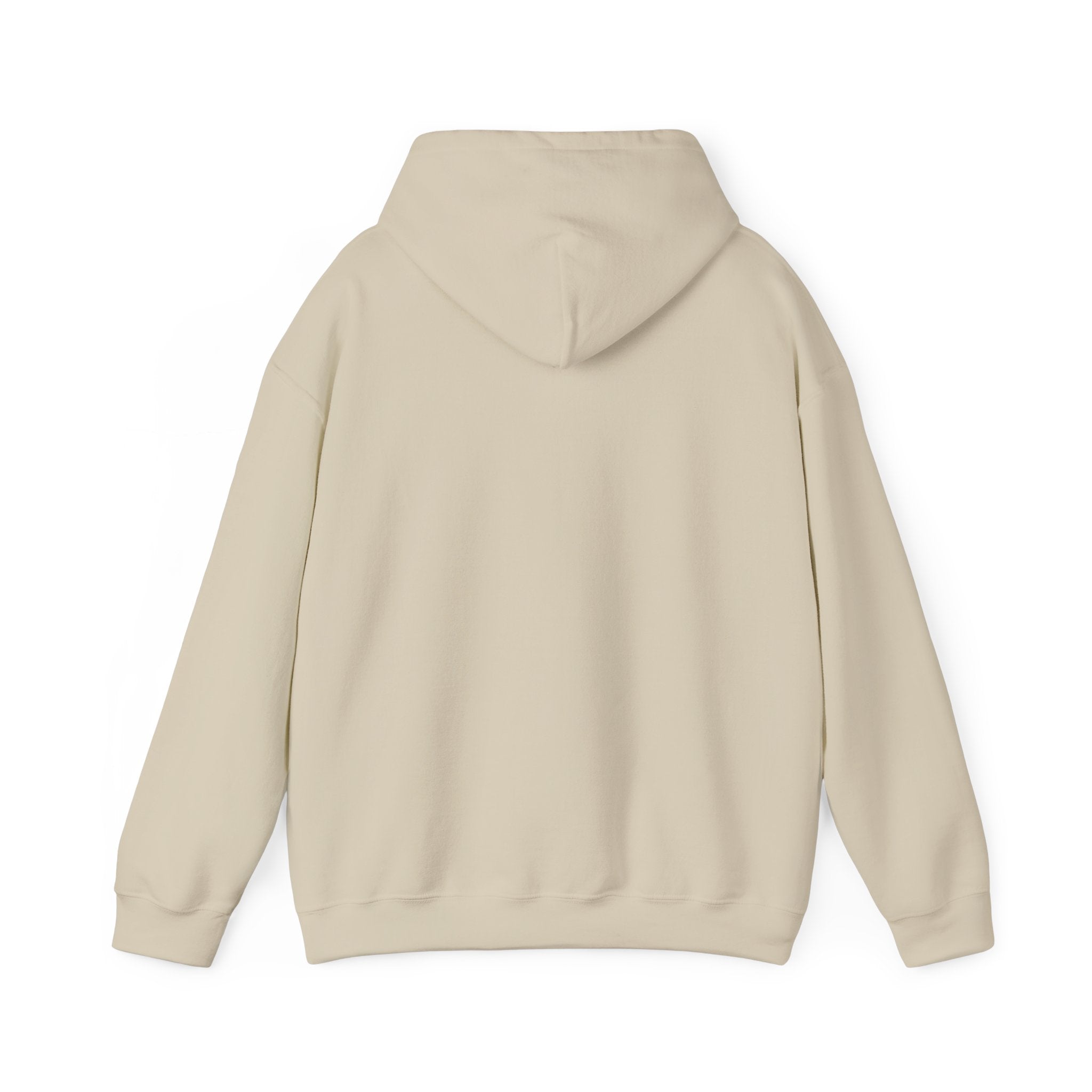 Fly High Hoodie — Retro Pink Logo Graphic Hooded Sweatshirt