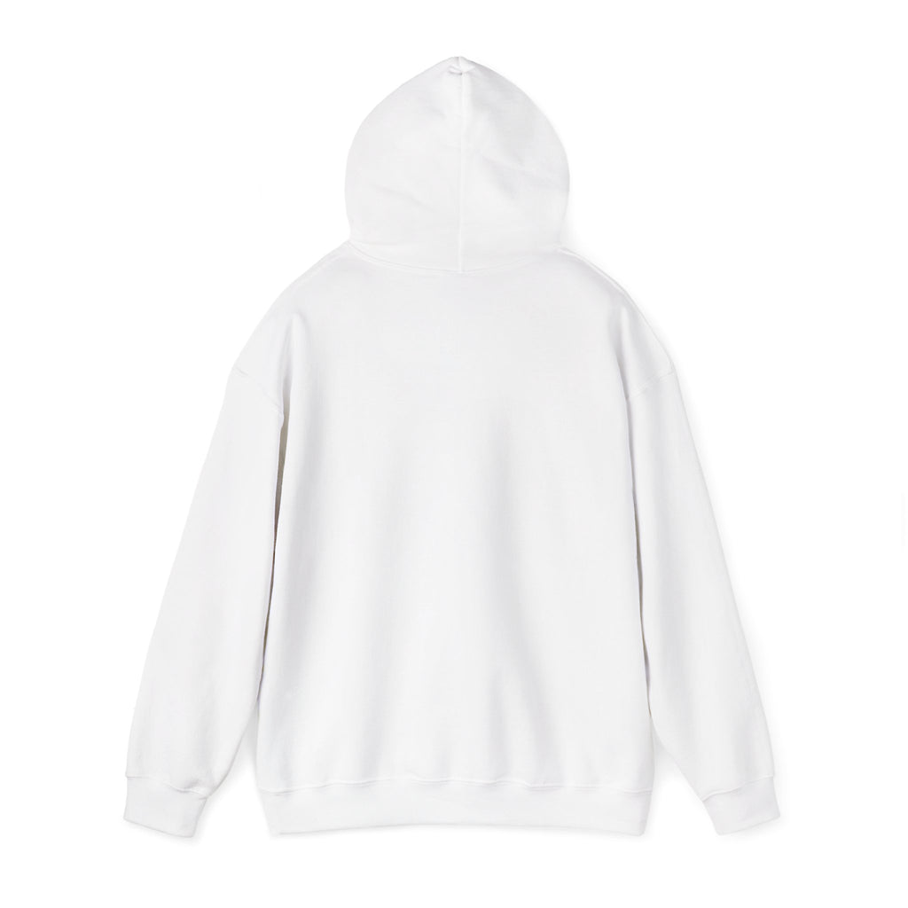 Fly High Hoodie — Pink 'fly high' Graphic Pullover