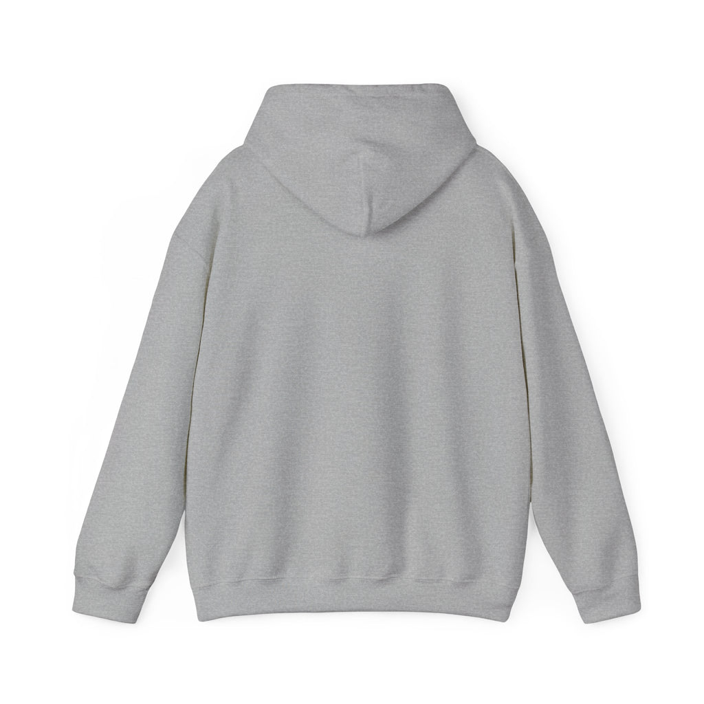 Fly High Hoodie — Retro Pink Logo Graphic Hooded Sweatshirt