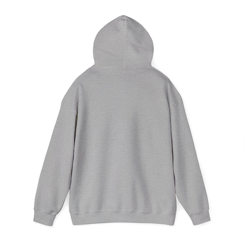 Fly High Hoodie — Retro Pink Logo Pullover