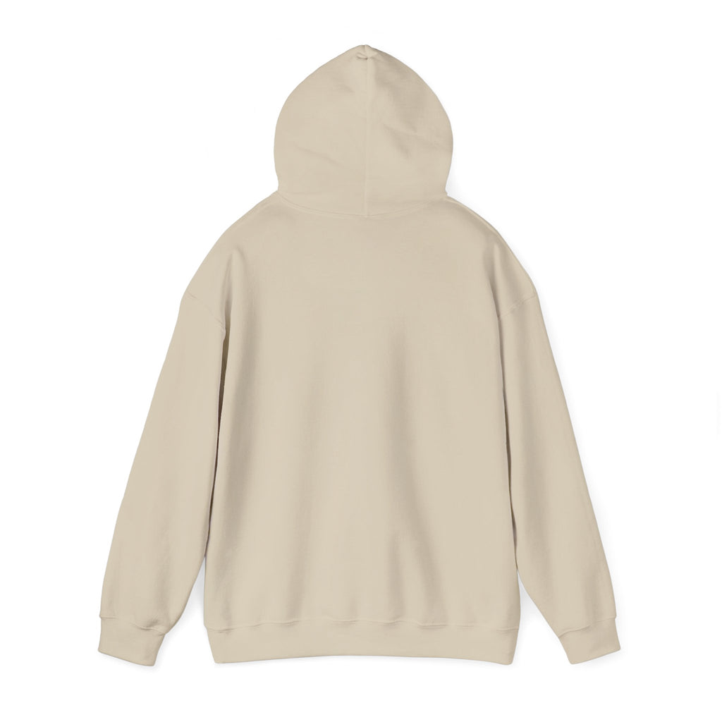 Fly High Hoodie — Retro Pink Logo Graphic Hooded Sweatshirt