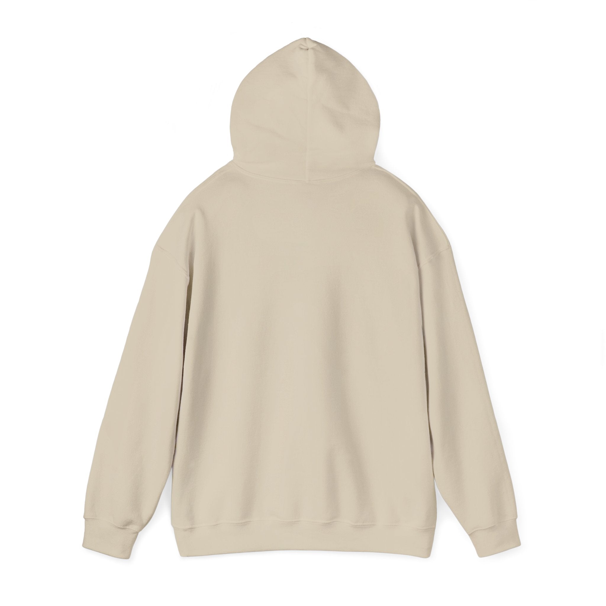 Fly High Hoodie — Retro Pink Logo Graphic Hooded Sweatshirt